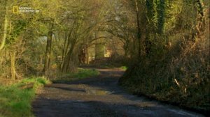 Кровавые истории Европы 5 серия «Тёмные искусства» (документальный сериал, 2013)