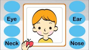 Learn Face Parts   Face Parts for Kids