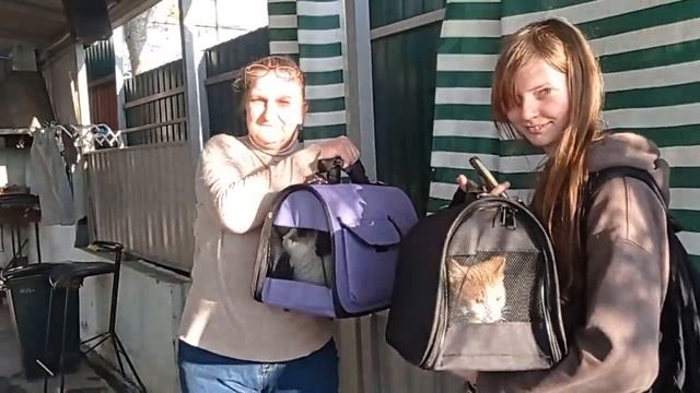 Ника и Сем поехали в новую семью смотреть онлайн