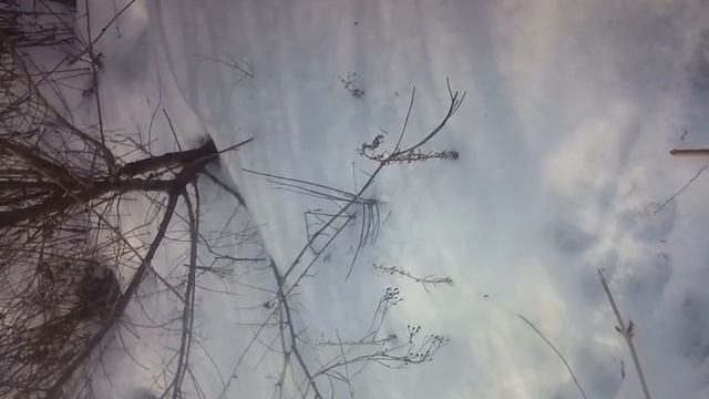 Петля на зайца установлена смотреть онлайн