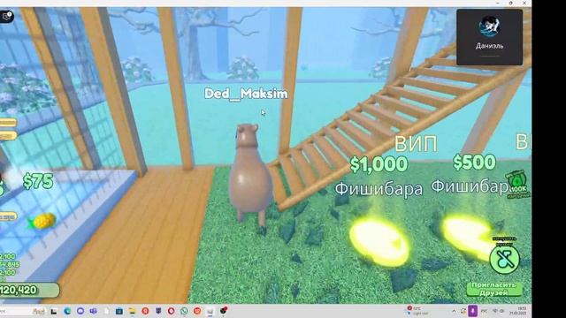 капибара  капибара   капибара  ка пи ба ра капибара  капибара  капибара  2часть