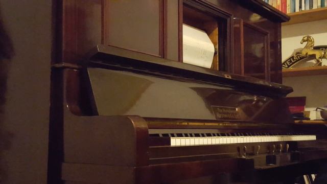 Kastner & Co Pianola - The Addams Family Theme смотреть онлайн