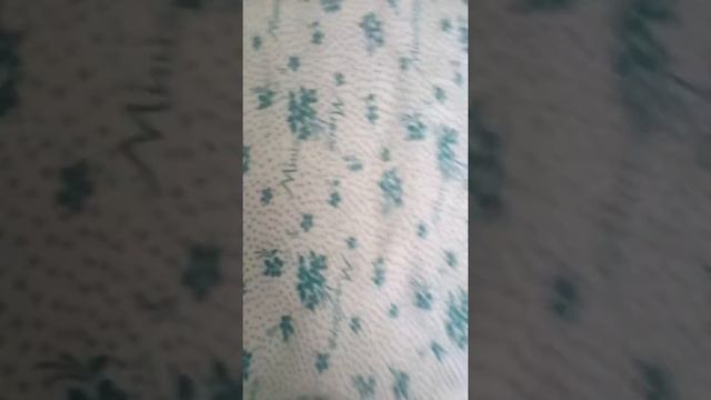 18 июля 2017 г. смотреть онлайн