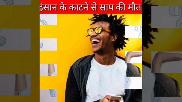 इंसान के काटने से सांप की मौत | Snake die by Human Bite | #shorts #ytshorts смотреть онлайн