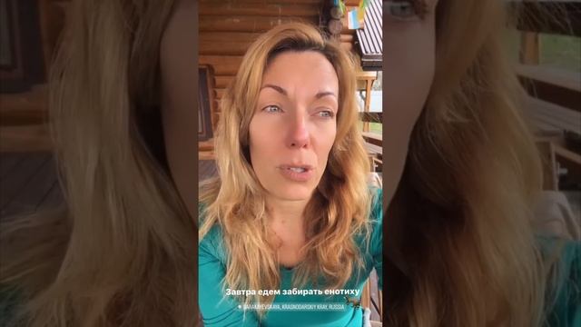 Истрия спасения енота смотреть онлайн