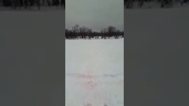 Волки атакуют смотреть онлайн