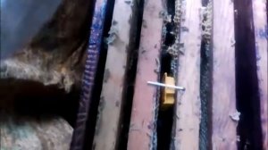 Подсадка не плодных маток в отводки №1