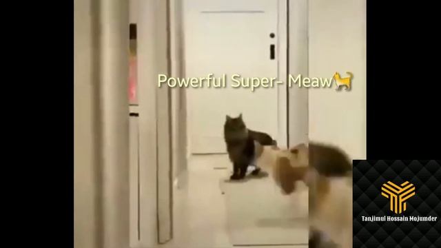 🐱Powerful Sper- Meaw🐈 (I'm unstoppable Meaw or Cat Version🤣) смотреть онлайн