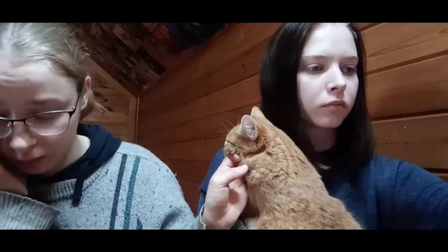 пробная трансляция, ждем ваши вопросы смотреть онлайн