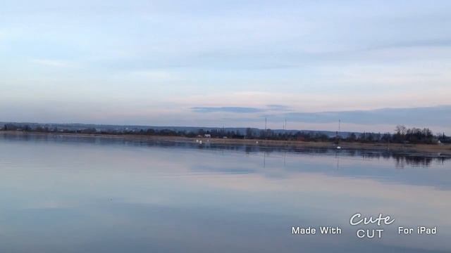 Птички смотреть онлайн