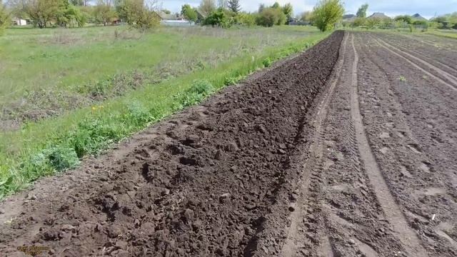 ВСЁ ТАКИ ПРОВАЛ ( ВСПАШКА ДВУХКОРПУСНЫМ ПЛУГОМ ДО МОТОБЛОКА /PLOWING WITH A DOUBLE-SHELL PLOW
