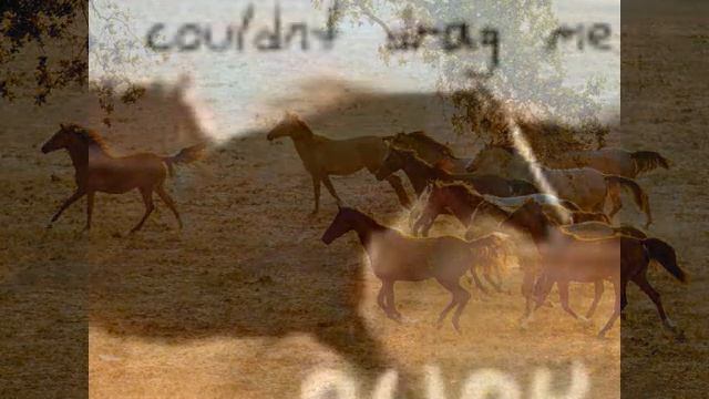 wild horses смотреть онлайн