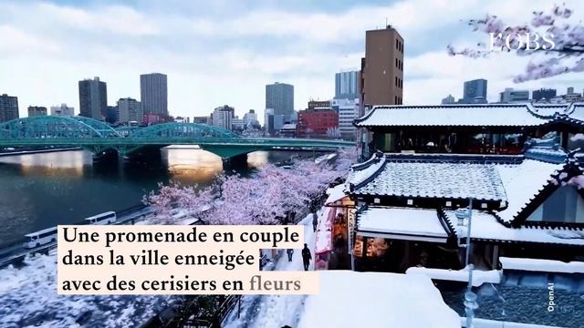 Avec Sora, OpenAI crée d'impressionnantes vidéos à la demande смотреть онлайн