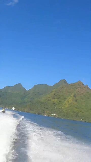 Jet ski tour Moorea смотреть онлайн