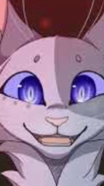 эдит мошка давно не было видео #коты #квадробика #cat #кошка #териан смотреть онлайн