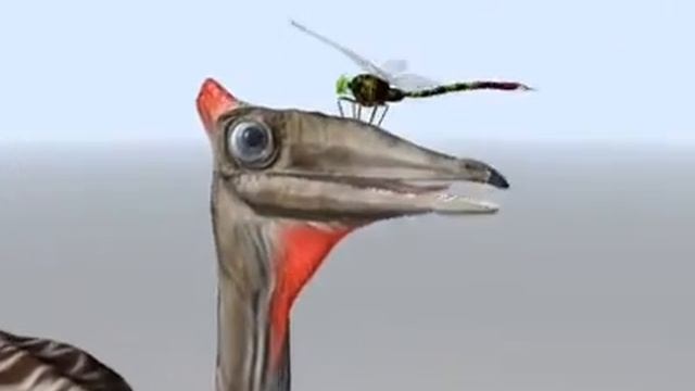 Pelecanimimus смотреть онлайн