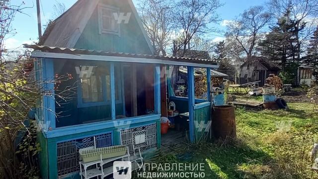 ДНТ Алгеос смотреть онлайн