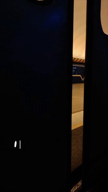 вайб Санкт-Петербурга