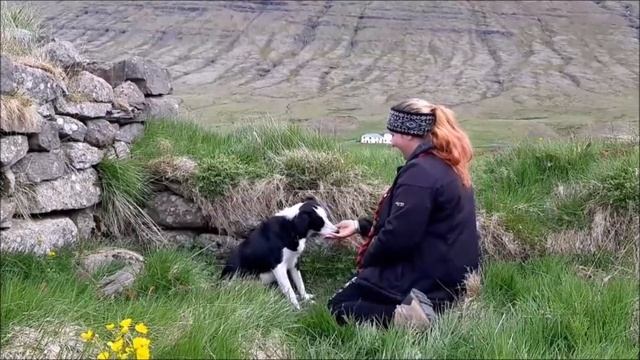 Classy After Party - beginners - Lucia Turzová + Arya смотреть онлайн