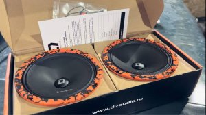 ОБЗОР ДИНАМИКОВ DL Audio Barracuda 165 SE! ЛУЧШИЕ ДИНАМИКИ ЗА СВОЮ ЦЕНУ!