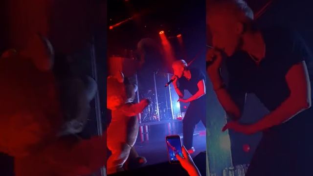 T-fest - Злой мишка ( Minsk 30.11.19) смотреть онлайн