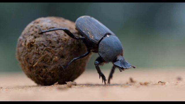 7 феврали / Самый сильный смотреть онлайн