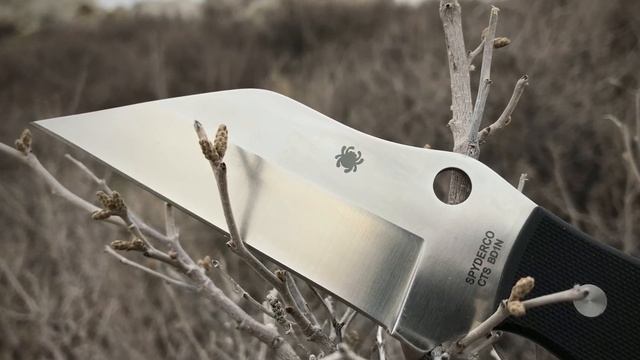 Spyderco Ronin 2 - Short смотреть онлайн