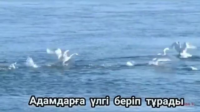 11 октября 2021 г.(3) смотреть онлайн