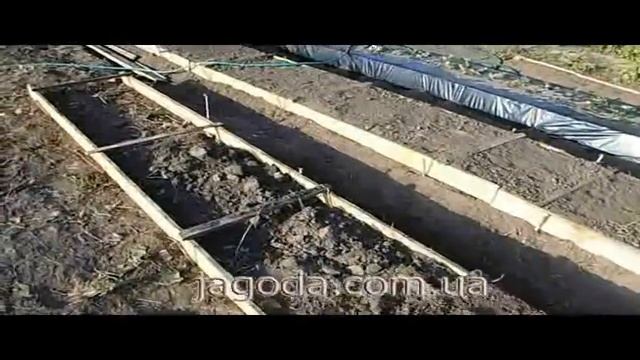 Как сделать гряды под клубнику смотреть онлайн
