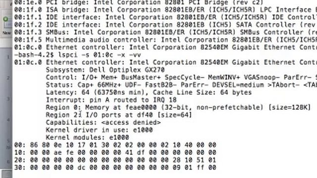 PCI Bus