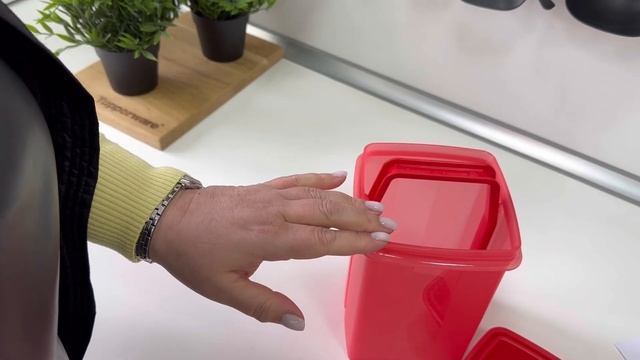 Деликатесница для хранения огурчиков, соленостей, грибочков, маслин, оливок и компотов