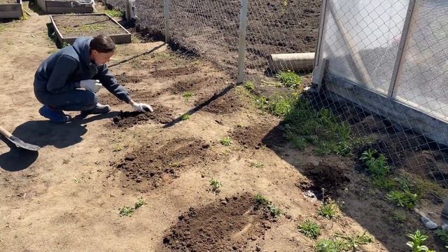 НАМ НЕ ВЕЗЁТ// ОГОРОДНЫЕ ДЕЛА// ПОСАДИЛА ОВОЩИ// СДЕЛАЛИ ЛИВНЁВКУ смотреть онлайн
