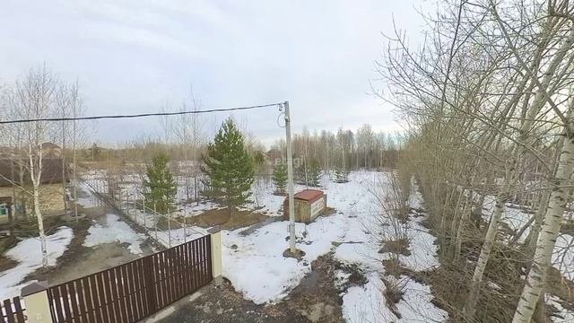 Звенящие кедры, участки смотреть онлайн