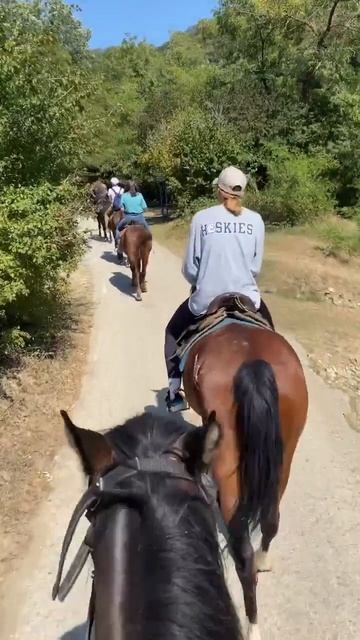 Конная прогулка на отдыхе в Сочи 😍 смотреть онлайн
