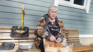 "Жизнь на пенсии".. Пересадила помидоры и подготовила лук.