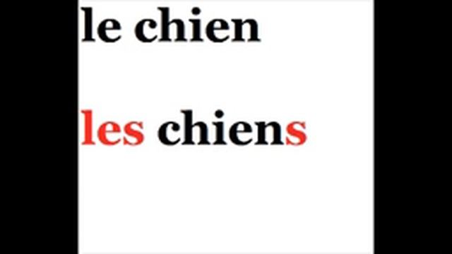 Grammaire : pluriel des noms смотреть онлайн
