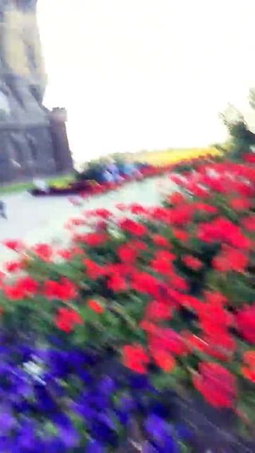 Замок Гарибальди смотреть онлайн