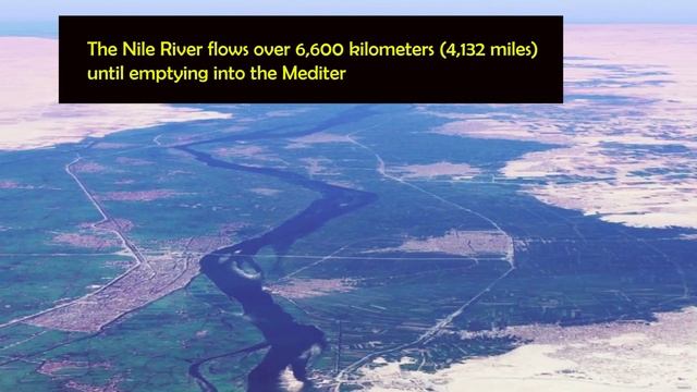Amazing Facts About Amazon River