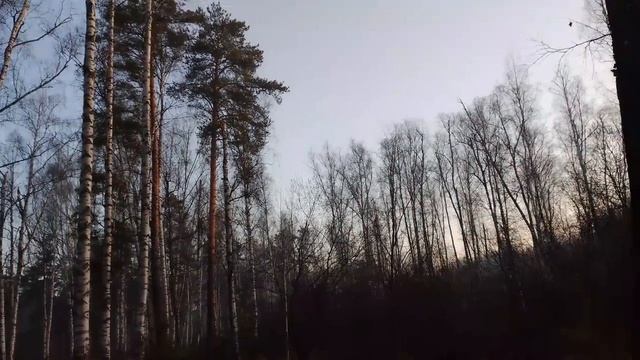 Кофе ☕ в новой кружке 💖 Дайте место большим собакам ☺️ смотреть онлайн