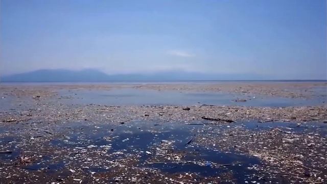 Как Мусор Уничтожает Планету? смотреть онлайн