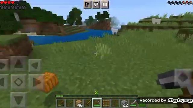 НОВАЯ МАЙНКРАФТЕРША?!РАЗВОДИМ СВИНОК😸 смотреть онлайн