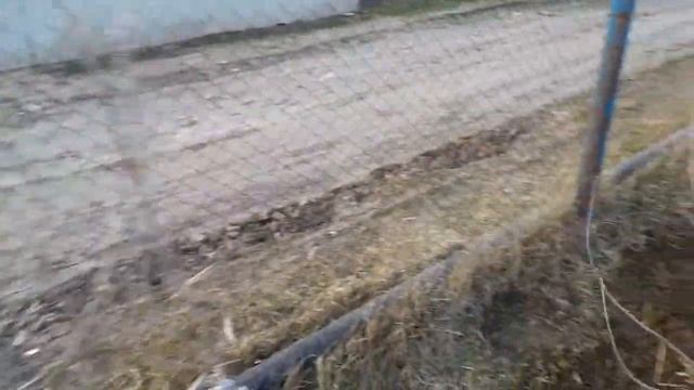 Забор опять ветром сдуло смотреть онлайн