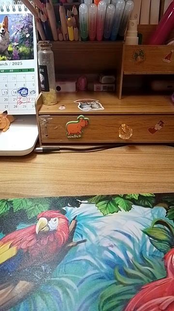 новая табалапка