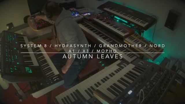 System 8 Hydrasynth Grandmother Nord A1 Mopho X3 Autumn Leaves