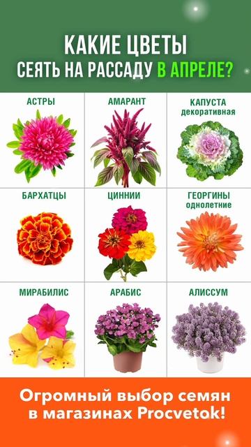 Эти овощи и цветы сеем на рассаду в апреле! Урожай раньше, а цветение пышнее! Сохраняйте в закладки! смотреть онлайн