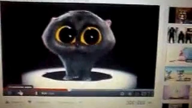 Поющий кот смотреть онлайн