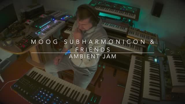 Moog Subharmonicon & Friends - Ambient Jam смотреть онлайн