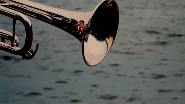 Тимур Штукмейстер,труба. И. С.  Бах.  Ария.