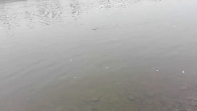 Только нахлыст 2 смотреть онлайн