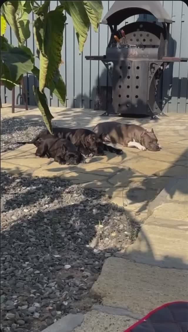 Отдых в Дагестане!